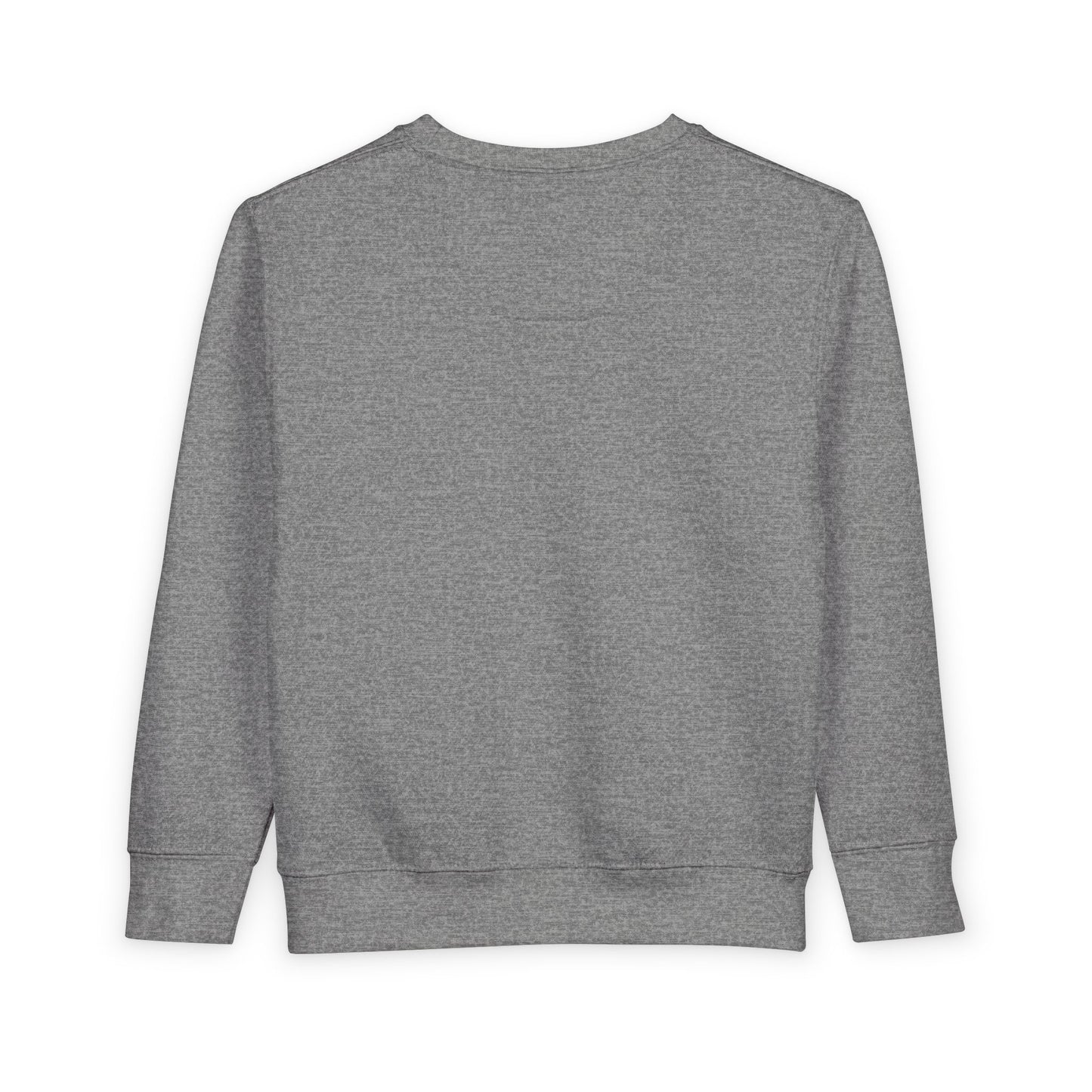 Kids Toddler Sweatshirt - True Walk Apparel