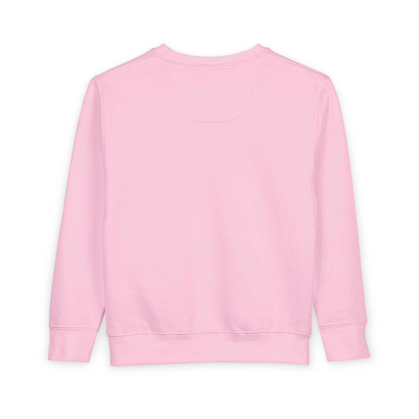 Kids Toddler Sweatshirt - True Walk Apparel