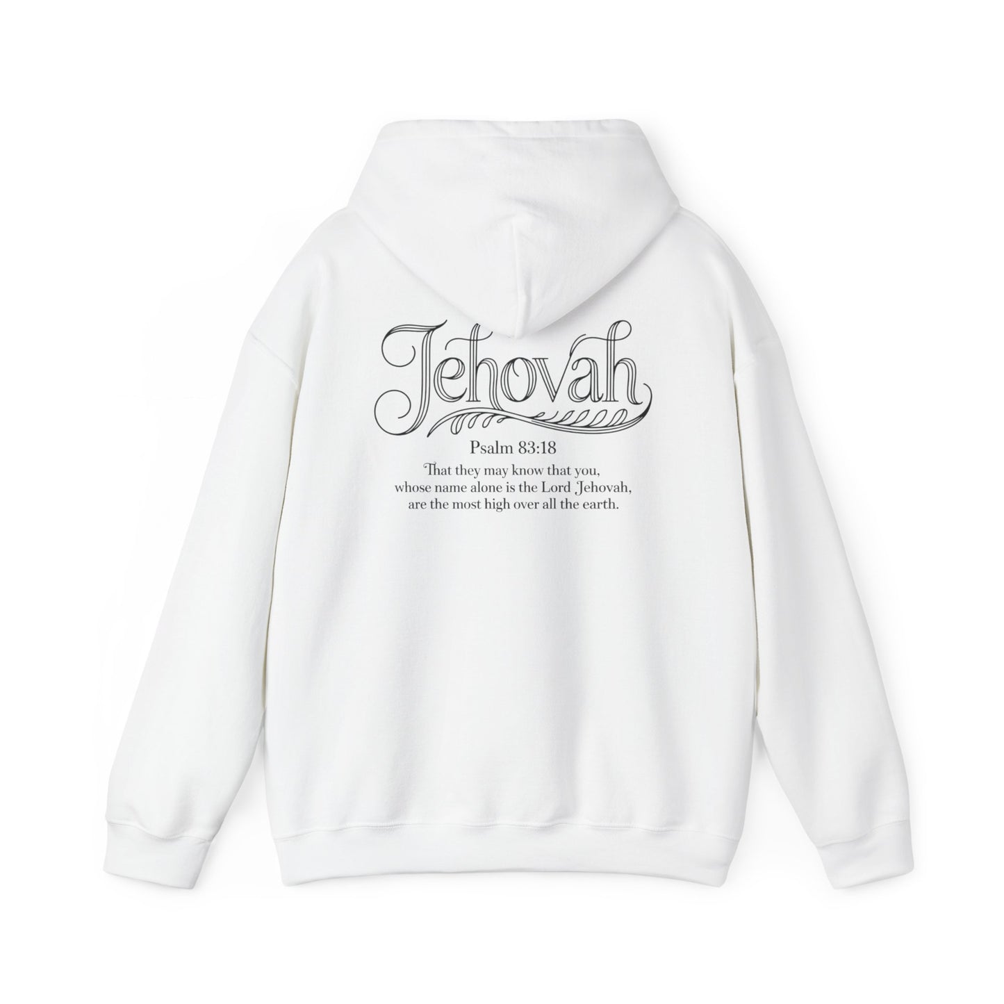 Spiritual Hooded Sweatshirt, Cozy Hoodie for Faithful, Gift for Believers, Biblical Verse Sweatshirt, Perfect for Church